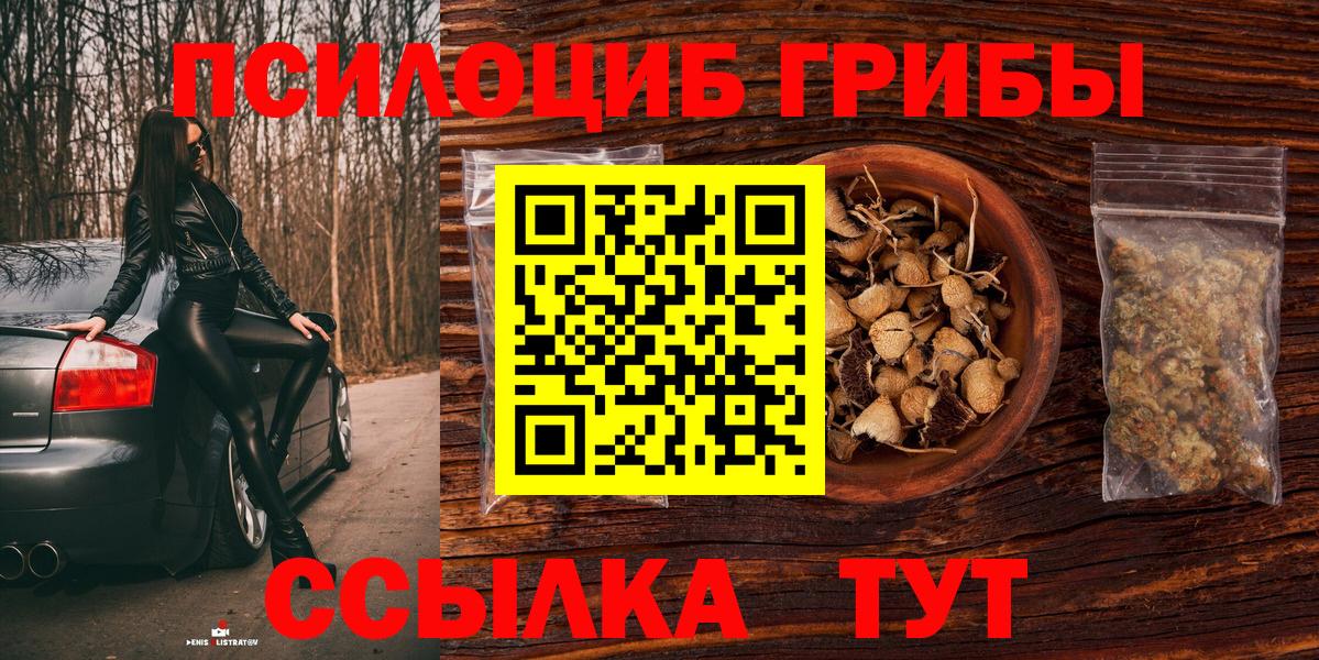Галлюциногенные грибы мицелий  Вход с VPN  Людиново 