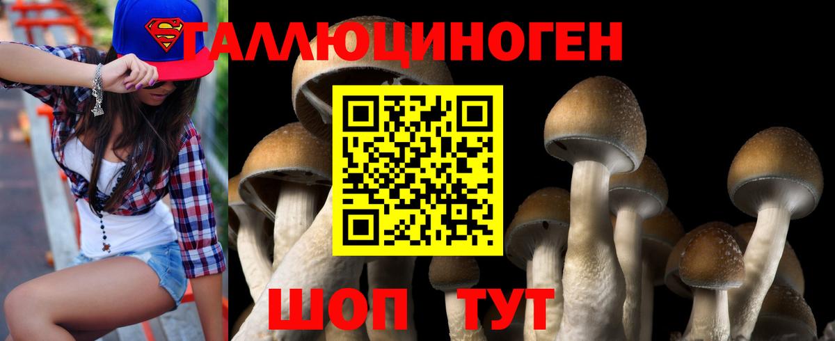 Галлюциногенные грибы Cubensis Людиново